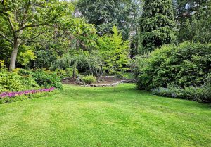 Optimiser l'expérience du jardin à Bernay-Vilbert